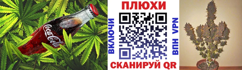 Canna-Cookies марихуана  Губаха 