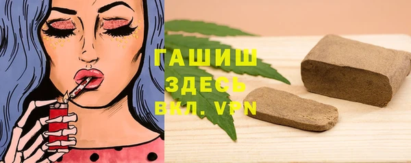молекула духа Вяземский