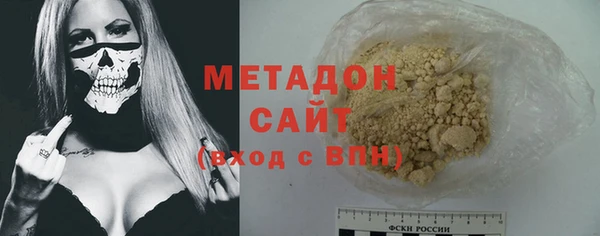 молекула духа Вяземский