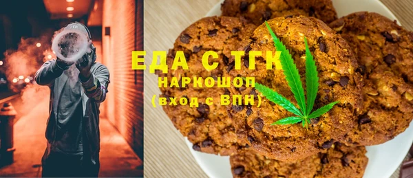 молекула духа Вяземский
