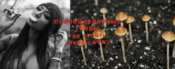молекула духа Вяземский