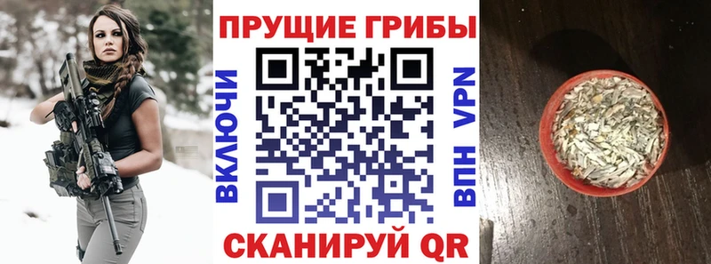 Псилоцибиновые грибы MAGIC MUSHROOMS  Губаха 