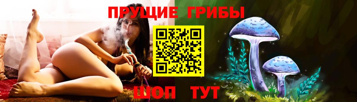 Галлюциногенные грибы ЛСД  Вход с VPN  Псилоцибиновые грибы прущие грибы  Губаха 